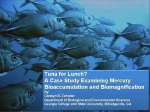 Tuna for lunch case study answers