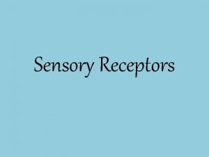 Sensory Receptors Receptors There are millions of receptors