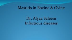 Mastitis in Bovine Ovine Dr Alyaa Saleem Infectious