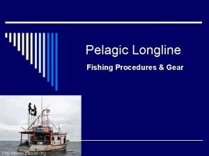 Pelagic long line