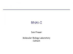 RNAiI Iain Fraser Molecular Biology Laboratory Caltech RNAi