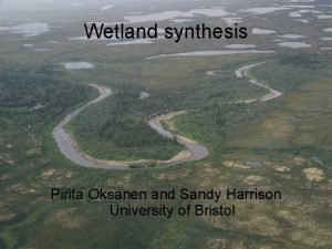 Wetland synthesis Pirita Oksanen and Sandy Harrison University