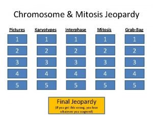 Chromosome Mitosis Jeopardy Pictures Karyotypes Interphase Mitosis GrabBag