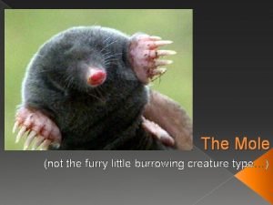 The Mole not the furry little burrowing creature