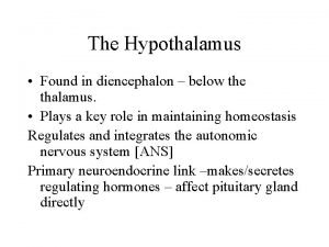 The Hypothalamus Found in diencephalon below the thalamus