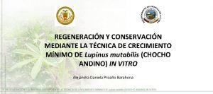 REGENERACIN Y CONSERVACIN MEDIANTE LA TCNICA DE CRECIMIENTO