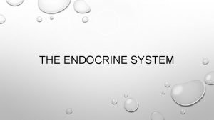 Endocrine Endocrine