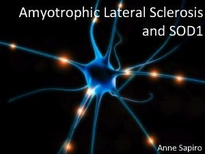 Amyotrophic Lateral Sclerosis and SOD 1 Anne Sapiro