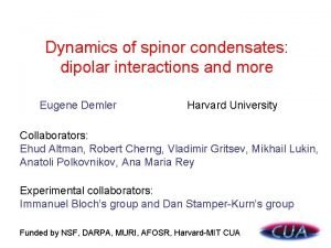 Dynamics of spinor condensates dipolar interactions and more