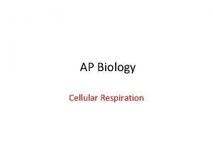 Cellular resp equation