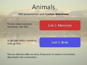 Animals Test presentation with Custom Slideshows To learn
