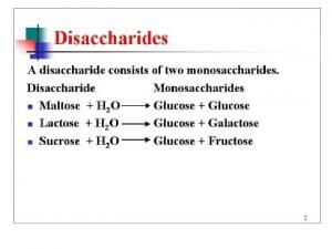 Disaccharides Disaccharides Disaccharides Maltose Glucose glucose alpha acetal