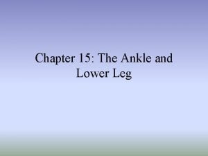 Chapter 15 the ankle and lower leg