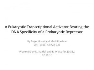 A Eukaryotic Transcriptional Activator Bearing the DNA Specificity