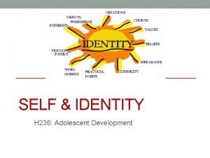 SELF IDENTITY H 236 Adolescent Development The Plan
