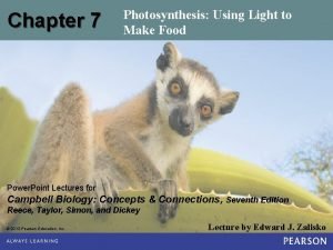Chapter 7 Photosynthesis Using Light to Make Food