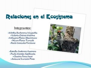 Coloniales homomorfas