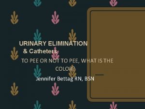 URINARY ELIMINATION Catheters TO PEE OR NOT TO