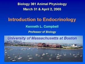 Biology 361 Animal Physiology March 31 April 2