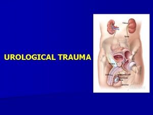 UROLOGICAL TRAUMA RENAL TRAUMA n Renal trauma occurs