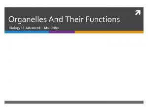 Organelles And Their Functions Biology 11 Advanced Ms