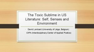 The Toxic Sublime in US Literature Self Senses