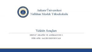 Ankara niversitesi Nallhan Meslek Yksekokulu Vektr Aralar NBP