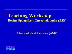 Teaching Workshop Bovine Spongiform Encephalopathy BSE Advanced Meat