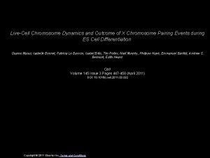 LiveCell Chromosome Dynamics and Outcome of X Chromosome