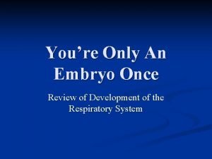 Youre Only An Embryo Once Review of Development
