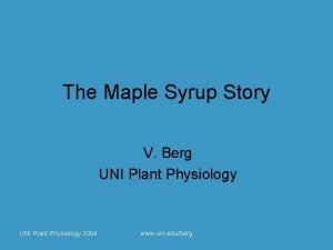 The Maple Syrup Story V Berg UNI Plant