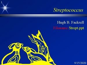 1 Streptococcus Hugh B Fackrell Filename Strept ppt