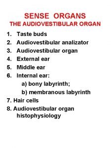 SENSE ORGANS THE AUDIOVESTIBULAR ORGAN 1 2 3