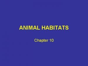 ANIMAL HABITATS Chapter 10 SUCCESSION Succession the concept