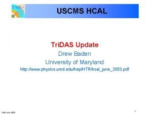 Drew baden umd