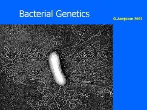 Bacterial Genetics G Jamjoom 2005 Bacterial Genetics Lecture