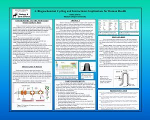 6 Biogeochemical Cycling and Interactions Implications for Human