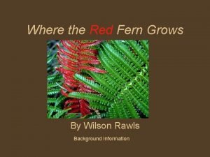 Where the red fern grows timeline