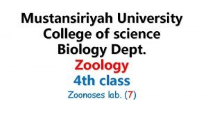 Mustansiriyah University College of science Biology Dept Zoology