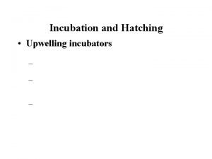 Incubation and Hatching Upwelling incubators Incubation and Hatching