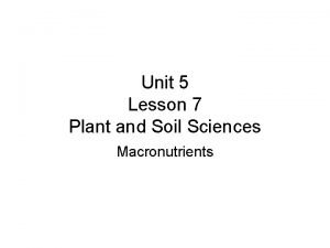 Unit 5 lesson 7