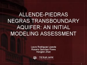 ALLENDEPIEDRAS NEGRAS TRANSBOUNDARY AQUIFER AN INITIAL MODELING ASSESSMENT