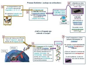 Proceso Evolutivo analoga con ordenadores Los programadores usan