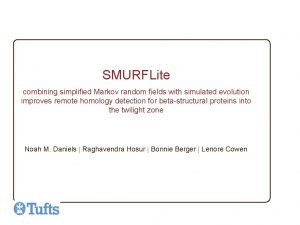 SMURFLite combining simplified Markov random fields with simulated