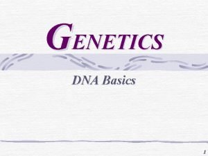 GENETICS DNA Basics 1 What makes them different