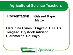 Agricultural Science Teachers Presentation Oilseed Rape Maize Geraldine