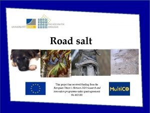 Road salt This project has received funding from