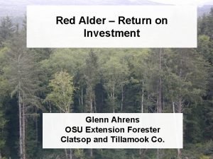 Red Alder Return on Investment Glenn Ahrens OSU