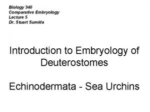 Biology 340 Comparative Embryology Lecture 5 Dr Stuart