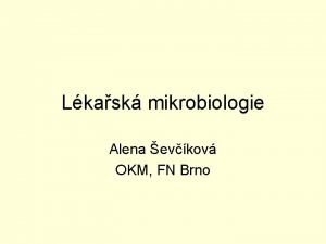 Lkask mikrobiologie Alena evkov OKM FN Brno Pln